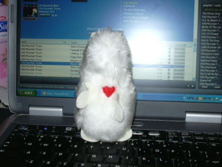 Claude listening to some Wild Mountain Thyme