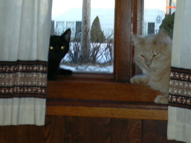 Finian teaching Edda about the faith.