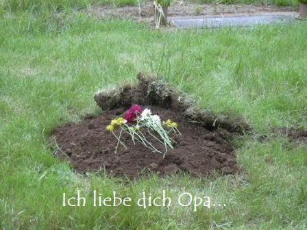 'Ich liebe dich Opa' is 'I love you Grandpa' in German