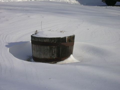 The drift around one of my whiskey barrel planters.